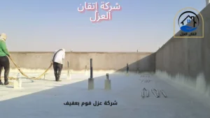 افضل شركة عزل فوم بعفيف