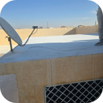خدمات مكافحة الحشرات