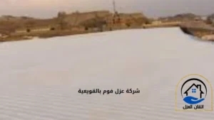 ارخص شركة عزل فوم بالقويعية
